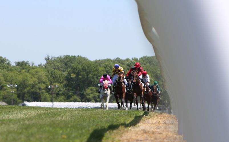 Fair Hill Races draw big crowd under new organizers Local News