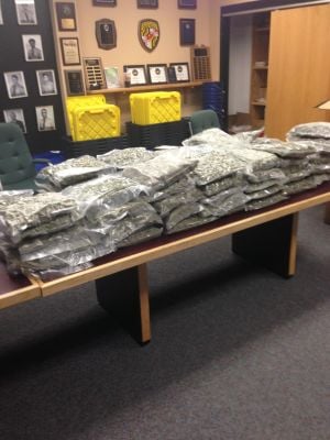 Man caught with 347 pounds of pot near North East gets one year in jail ...