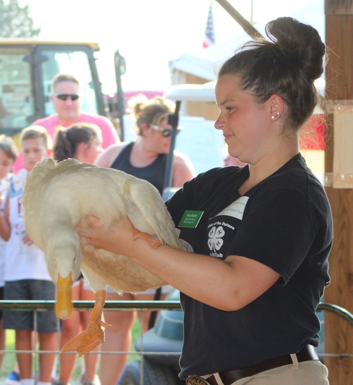 Cecil County Fair Livestock Auction