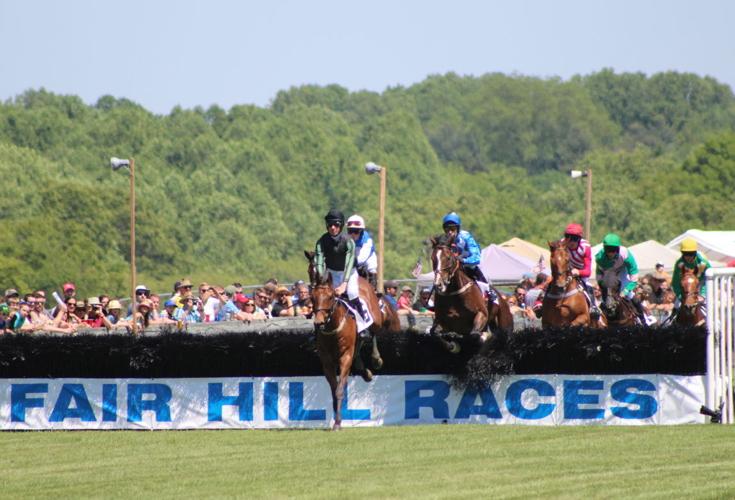Fair Hill Races draw big crowd under new organizers Local News