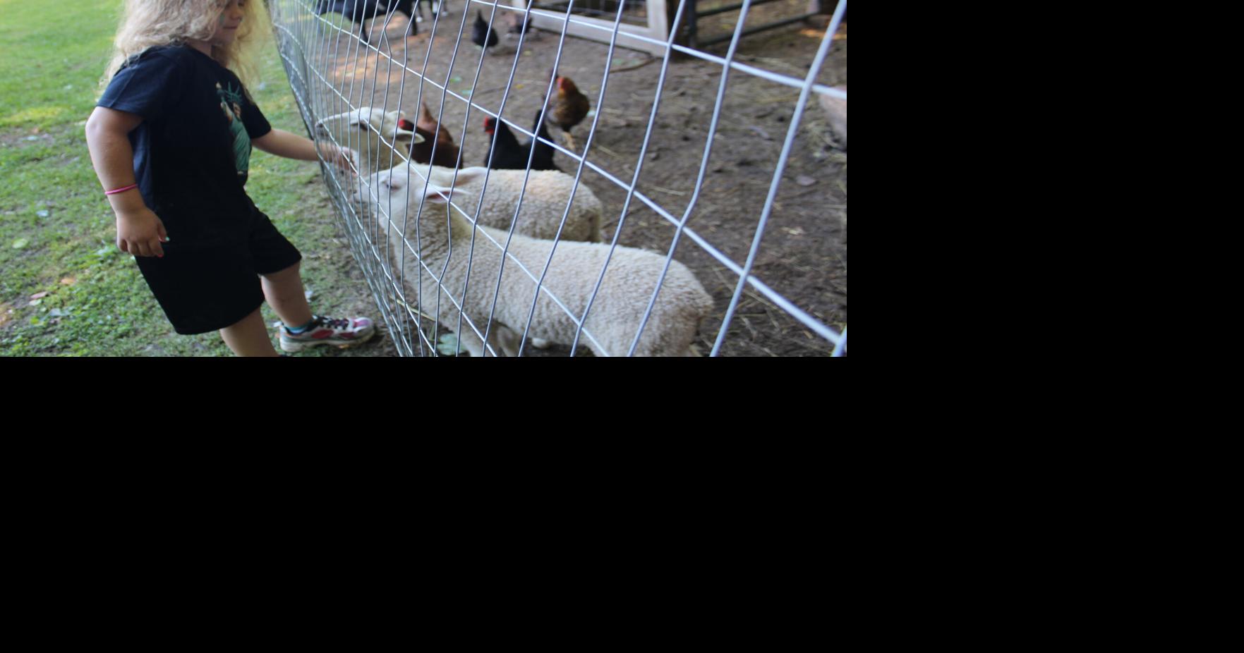 New Christian school near Elkton introduces students to the farm life