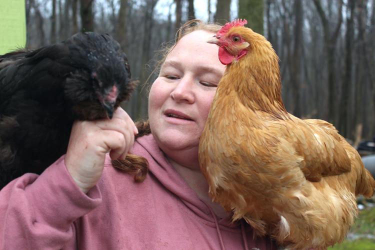 License to Roost Cecil County Council passes backyard chicken bill