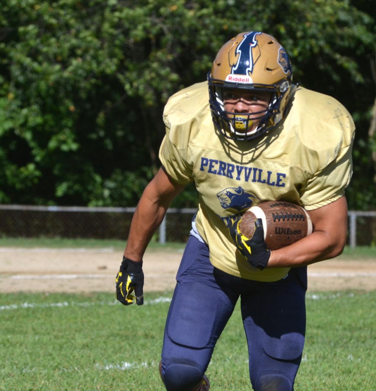 FOOTBALL Panthers hoping last year's growing pains leads to more