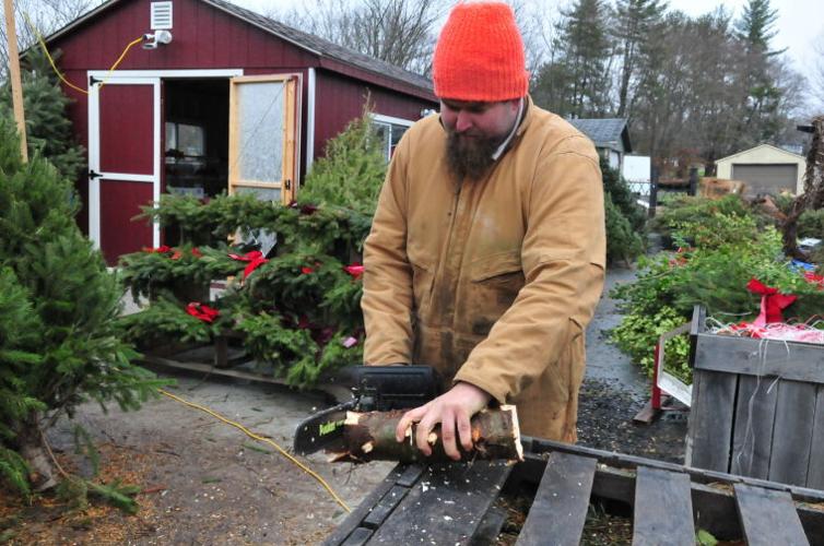 Cecil County bucks trend of rising Christmas tree prices Business