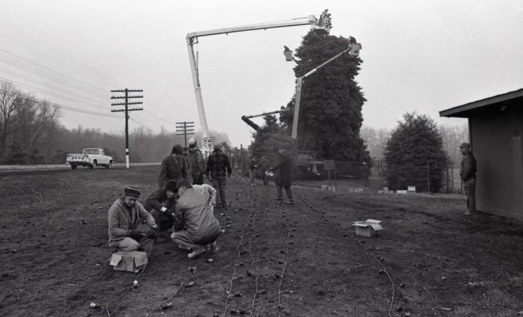 A Tree For Travelers That Put Cecil On The Map Our Cecil Cecildaily Com