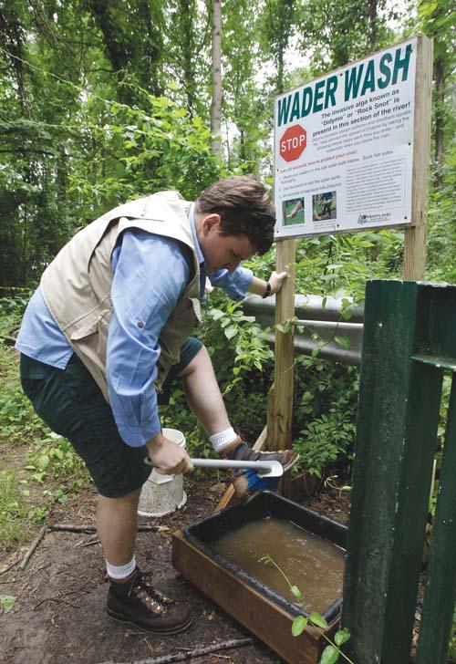 Felt Boots Blamed For Invasive Rock Snot News Cecildaily Com