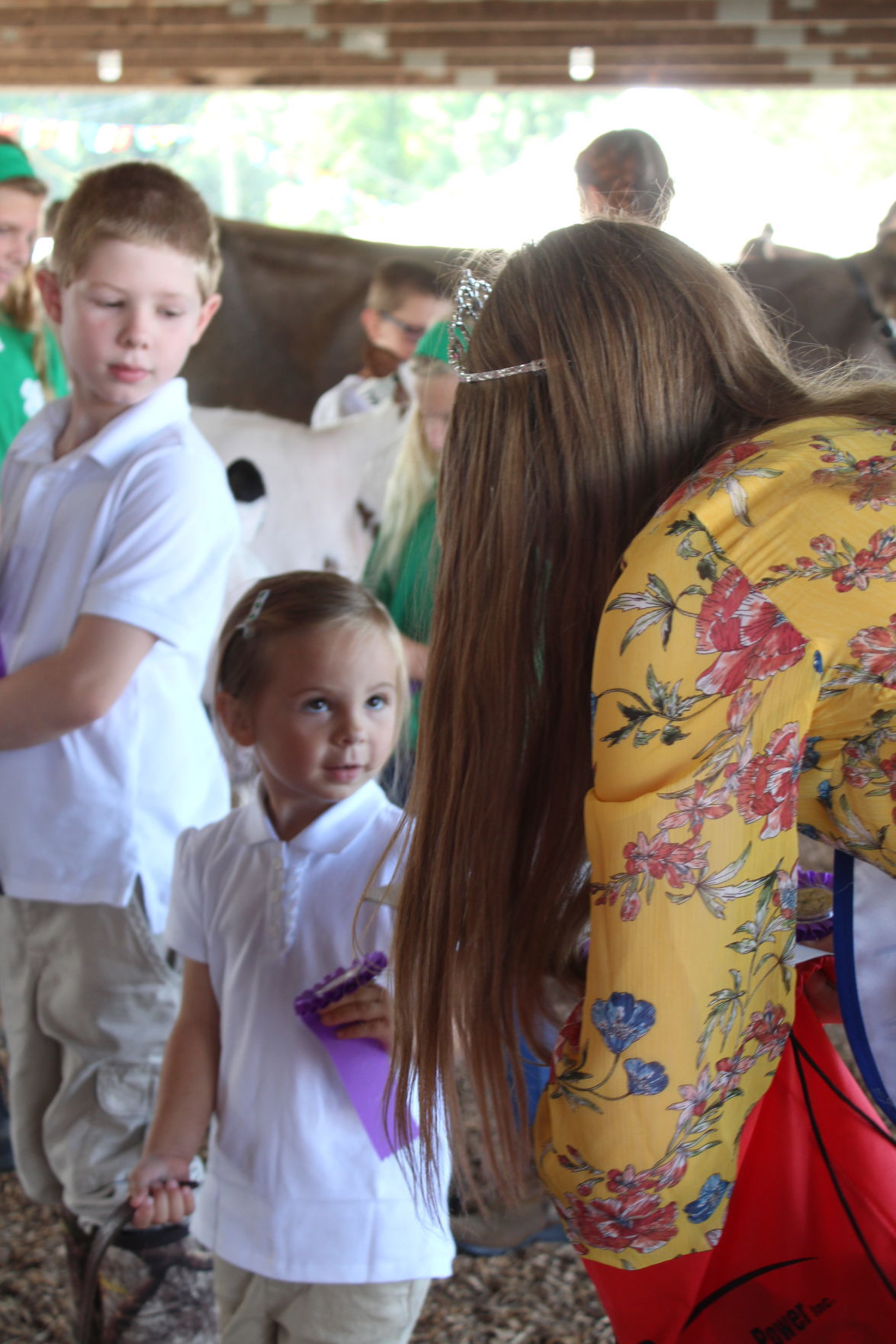 Fitting & Showing alows 4-H to shine