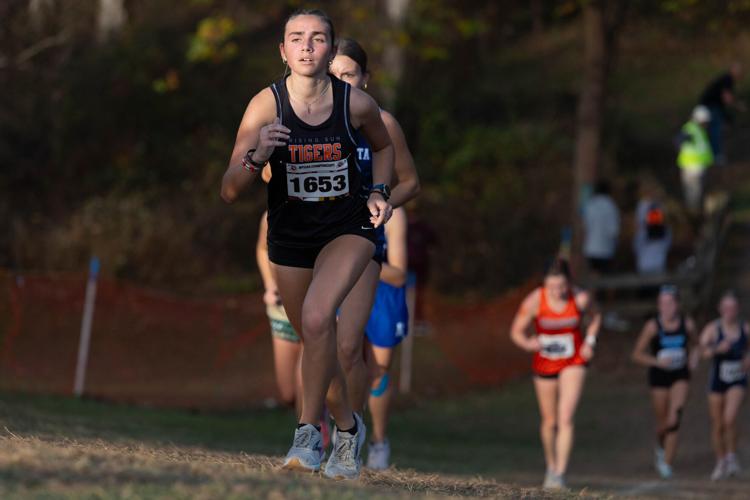 Cecil County runners finish in top 25 at MPSSAA state championships ...