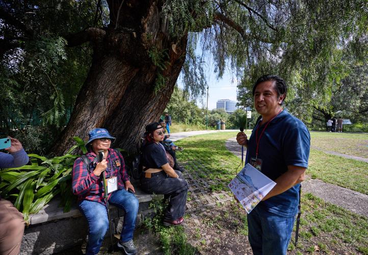 Experts lead tours uncovering Mexico s hidden ancient sites World