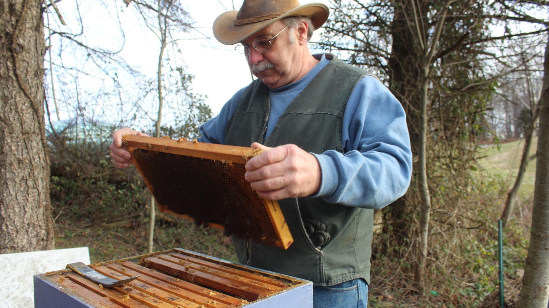 AgriCulture; Beekeeper 101, Jacquie's Place opens, Kilby Cream "tacos" - Vimarsana News