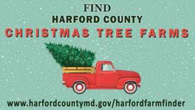 Harford Offers Online Christmas Tree Farm Finder Harford County Cecildaily Com
