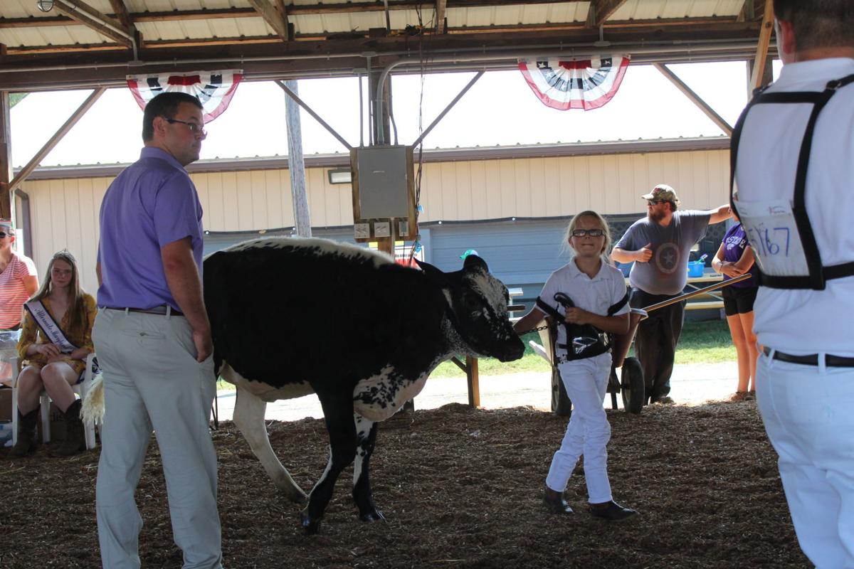 Fitting & Showing alows 4-H to shine
