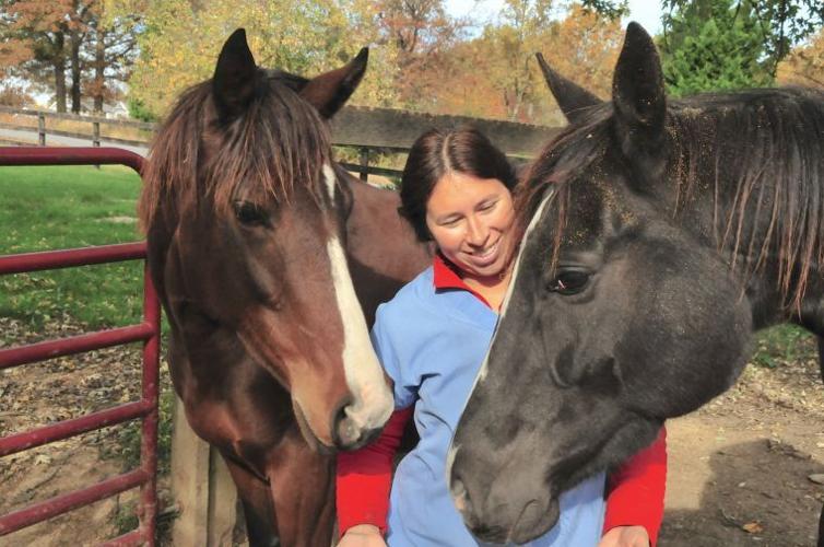 On the job Equine dentist Local News