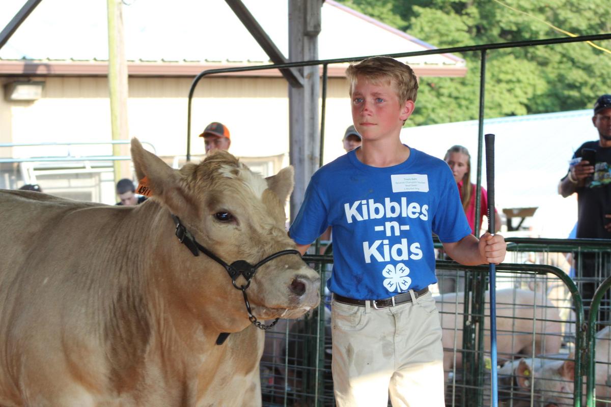Cecil County Fair Livestock Auction