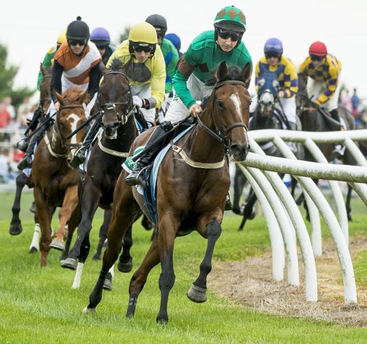 Fair Hill Races defy clouds, rain in 83rd year | Spotlight | cecildaily.com