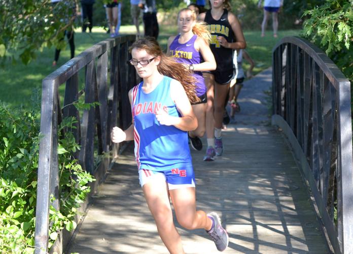 Eagles shine at Susquehanna Division Meet High Schools