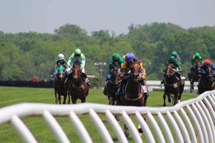 Horse racing, tailgating in dead heat at Fair Hill track | Local News ...