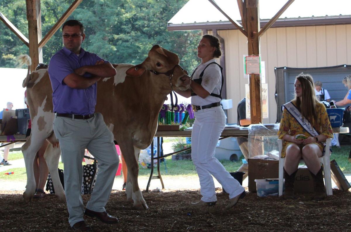 Fitting & Showing alows 4-H to shine