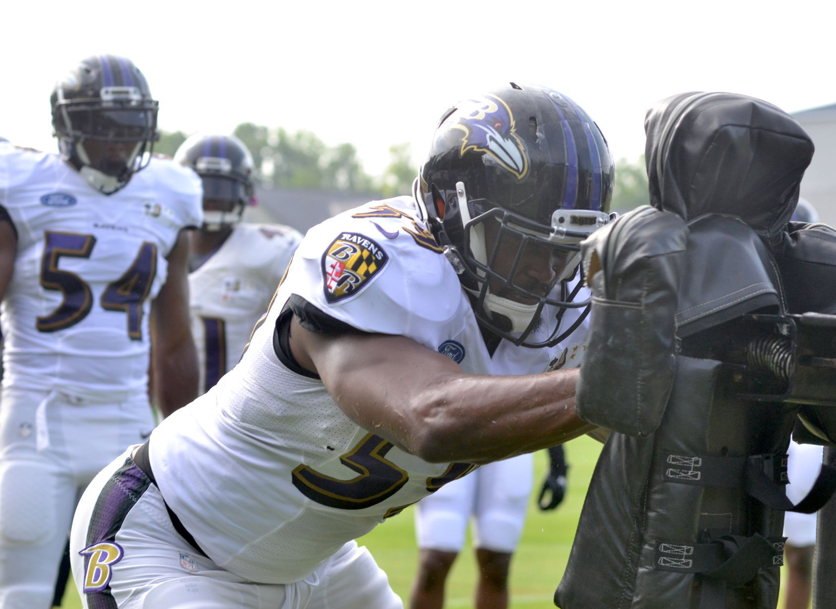 2016 Baltimore Ravens Training Camp | Sports Gallery | Cecildaily.com