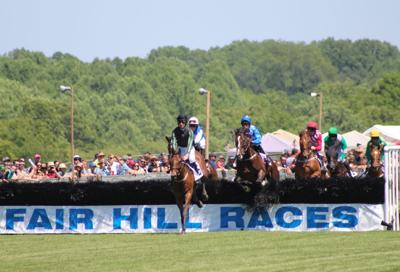 Breeders' Fair takes over Fair Hill Races | Business | cecildaily.com