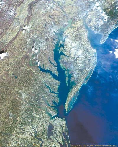 Study: 'Dead zone' in bay smaller this summer | Local News | cecildaily.com