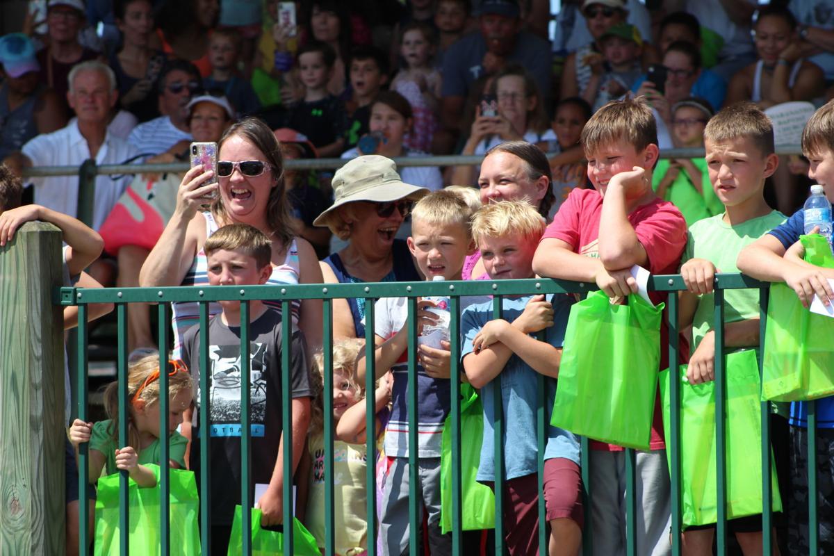 Big Bee transforms the fair crowd