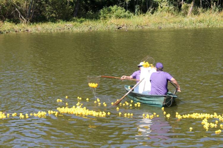 North East rubber ducky races draws strong crowd | Local News ...