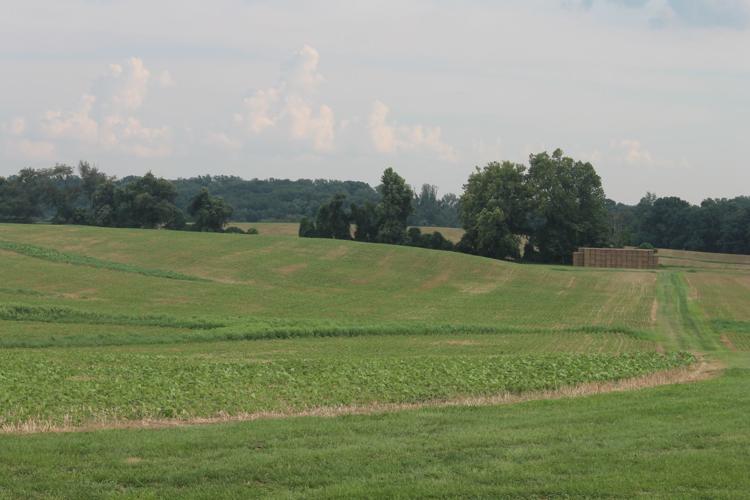 Escape to Serenity: Maryland's Bohemia River State Park