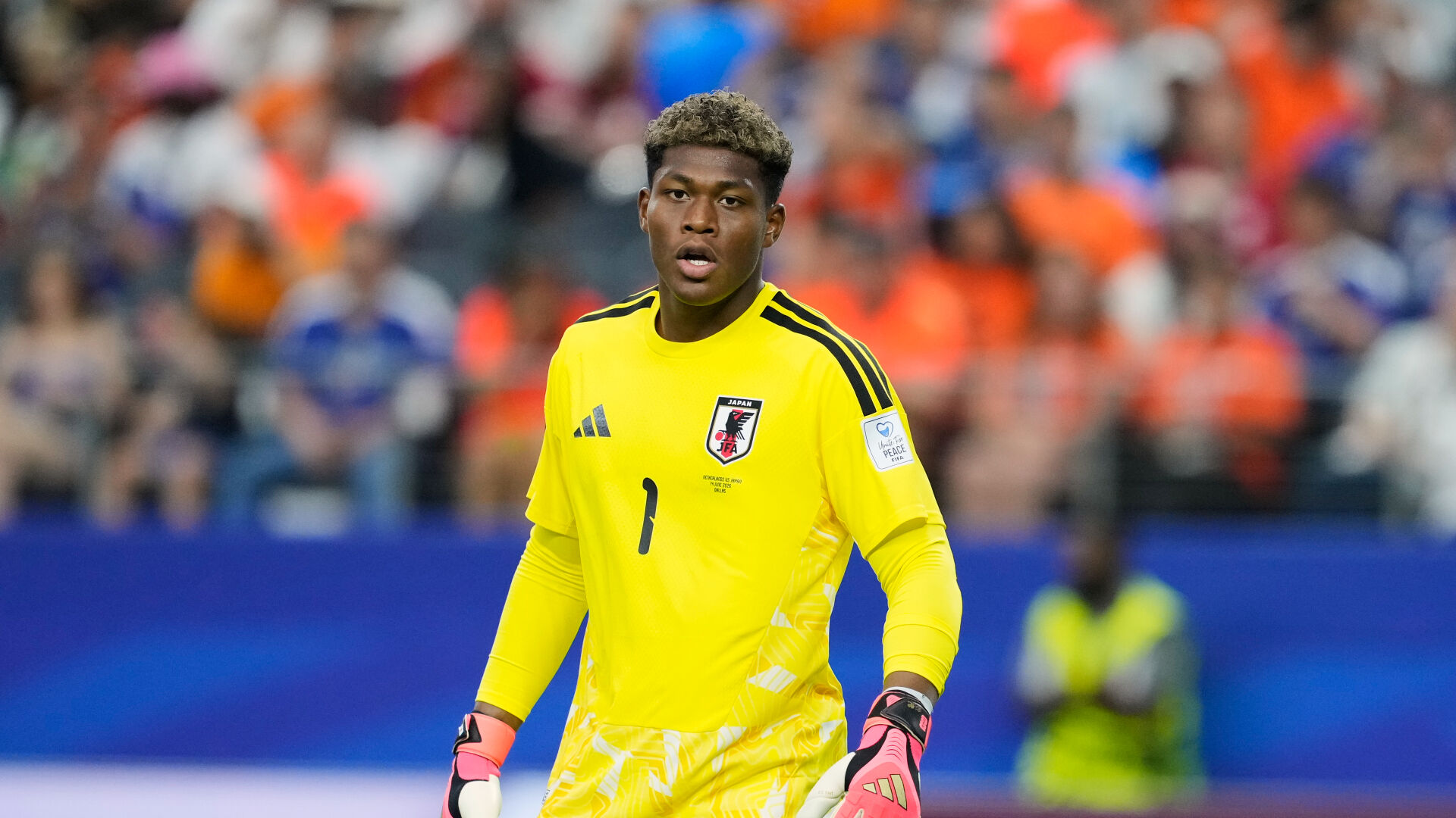 Japan WCup Soccer | World Cup | cecildaily.com