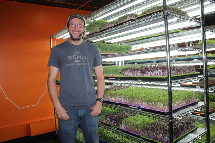 "Growing Microgreens" is a free seminar Sept. 10 at the Cecil County Farm Museum