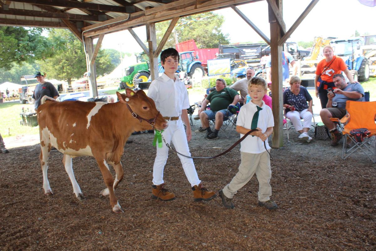 Fitting & Showing alows 4-H to shine