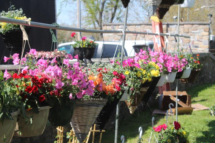 St. Mary Anne's Garden Market opens Friday News