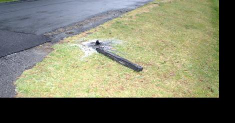 Police trying to ID person who set fire to mailbox near Elkton - Vimarsana News