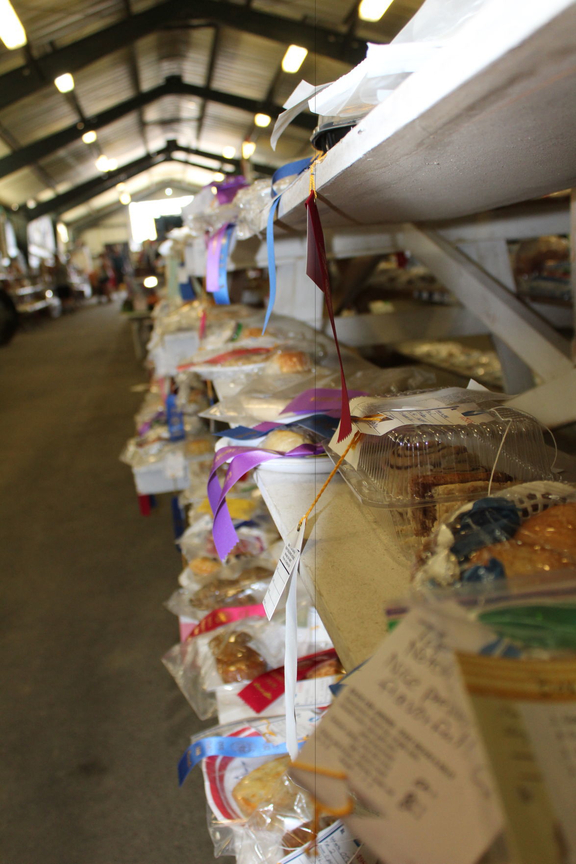 Sights and sounds at the Cecil County Fair