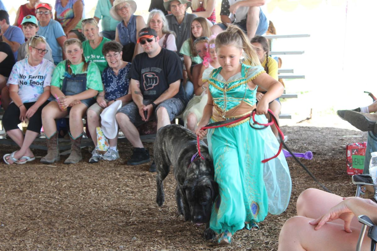 Cecil Fair Pretty Animal Contest
