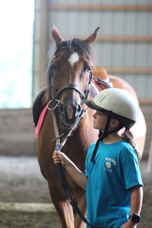Whoa Nellie offers a "fo" fair for young equestrians missing the Cecil County Fair