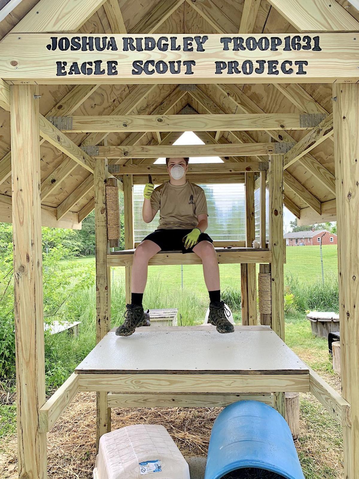 Scout Builds Feral Cat Shelter For Eagle Project Apg Covid 19
