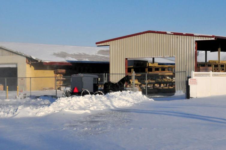 Cecil gets 6+ inches, temperatures dip to teens Local News