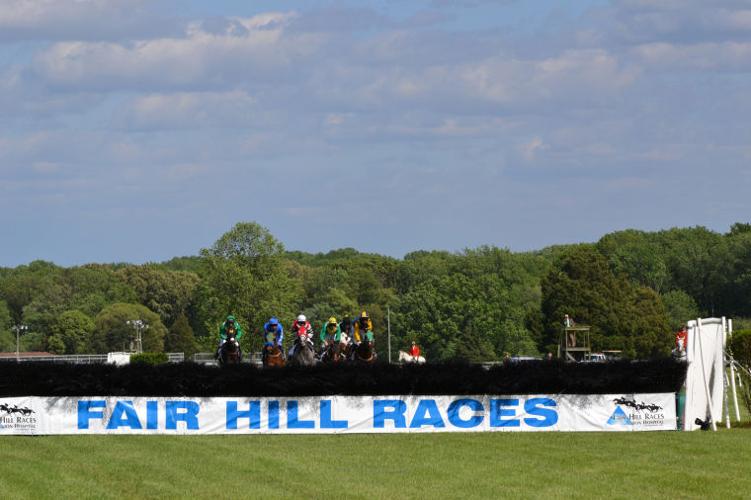 Fair Hill Races 2013 | News Gallery | cecildaily.com
