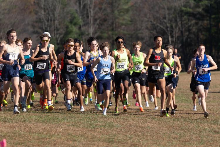 Cecil County runners finish in top 25 at MPSSAA state championships ...