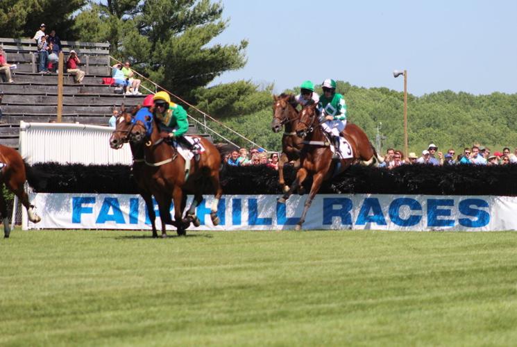 Fair Hill Races draw big crowd under new organizers Local News
