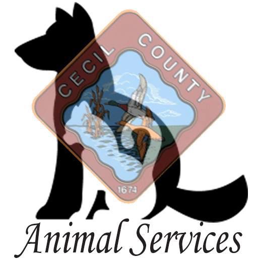 Social media video spurs animal cruelty investigation Spotlight