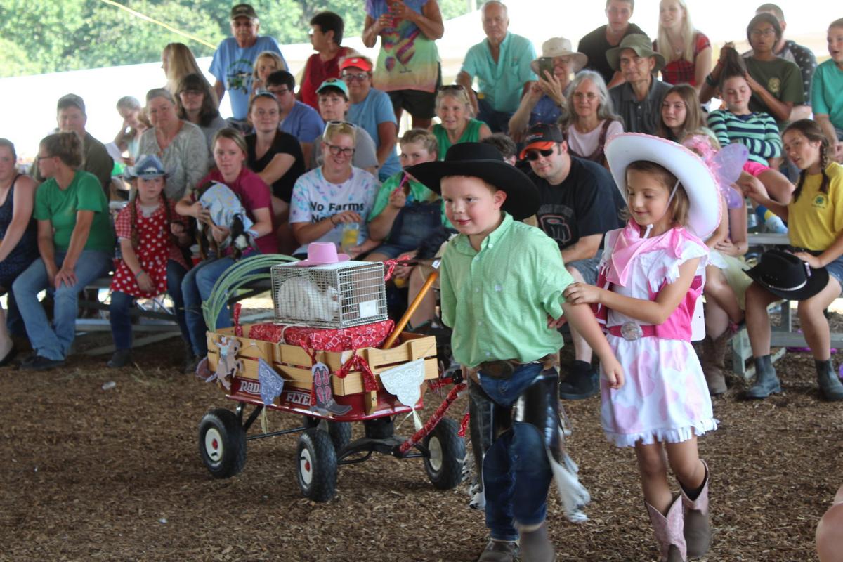 Cecil Fair Pretty Animal Contest