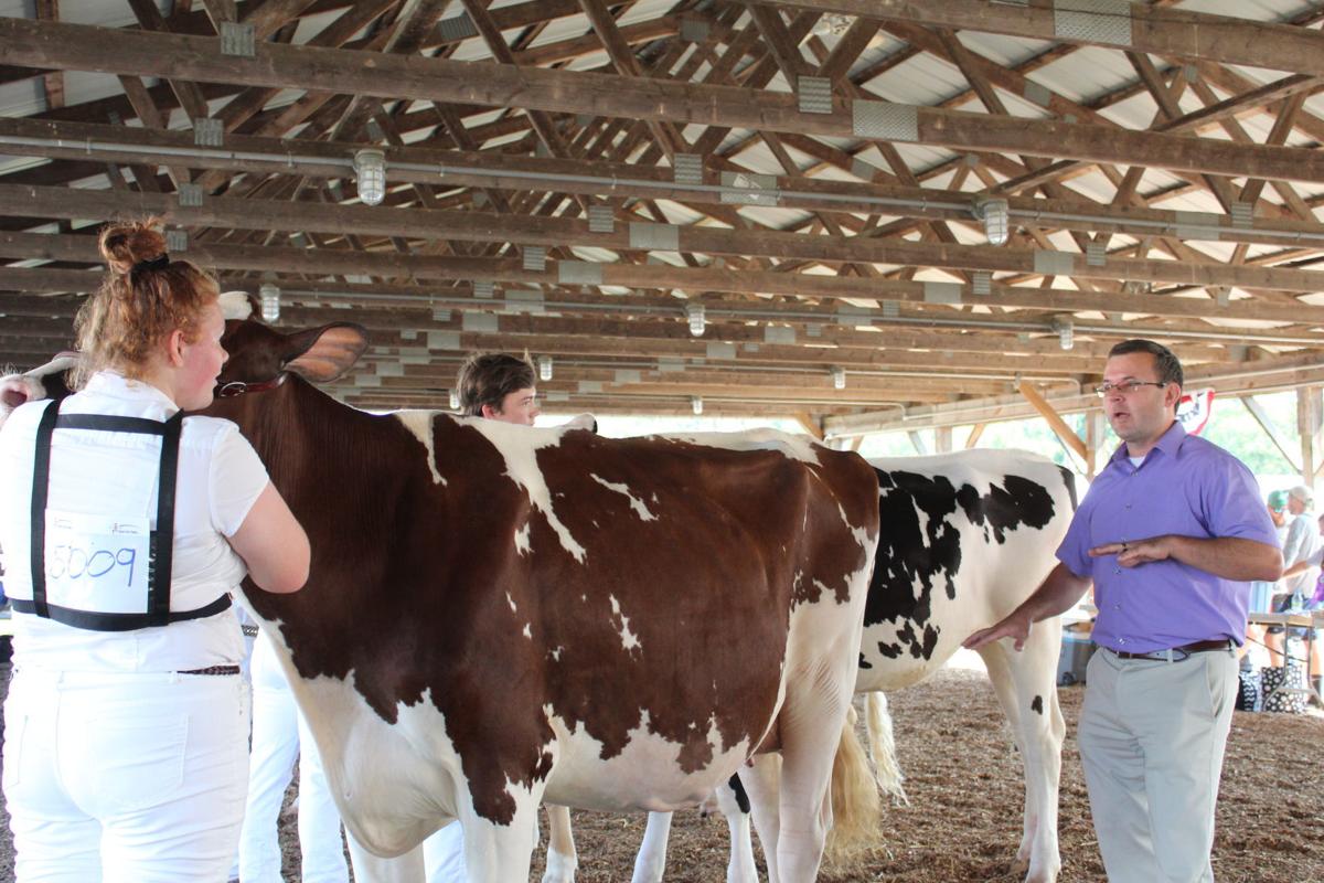 Fitting & Showing alows 4-H to shine