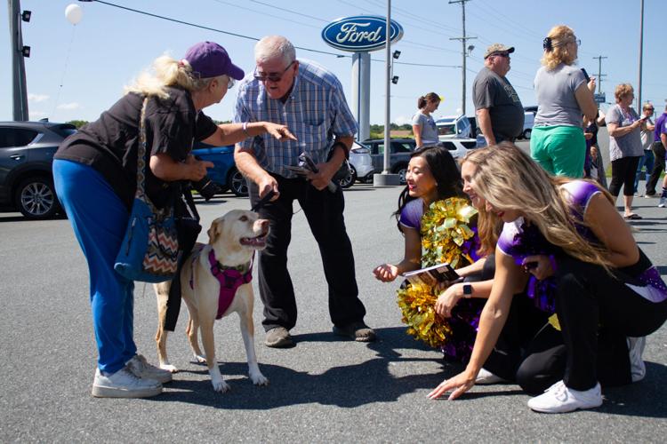 Baltimore Ravens pride sweeps Cecil County