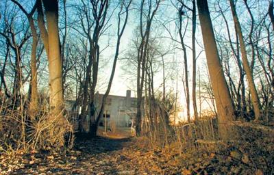 Man Hangs Himself In Elkton Police Say News Cecildaily Com