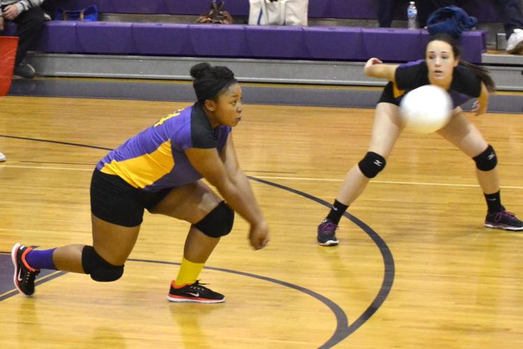 North East vs. Elkton volleyball Sports Gallery