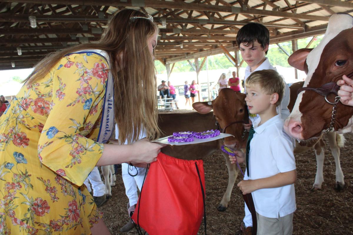 Fitting & Showing alows 4-H to shine