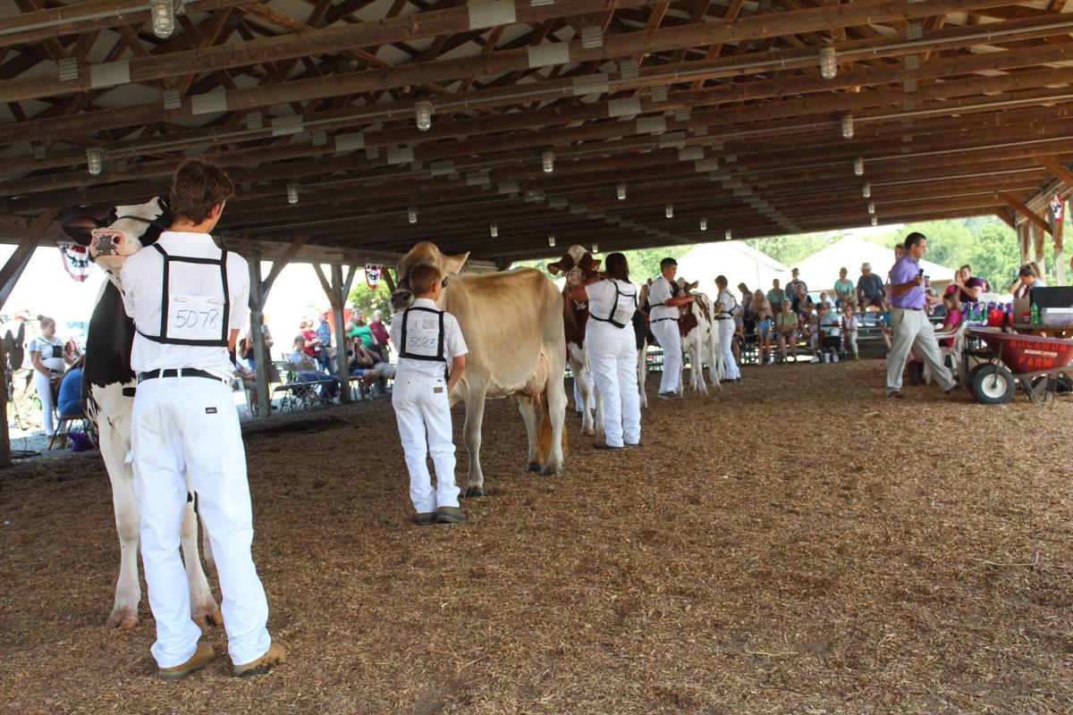Fitting & Showing alows 4-H to shine
