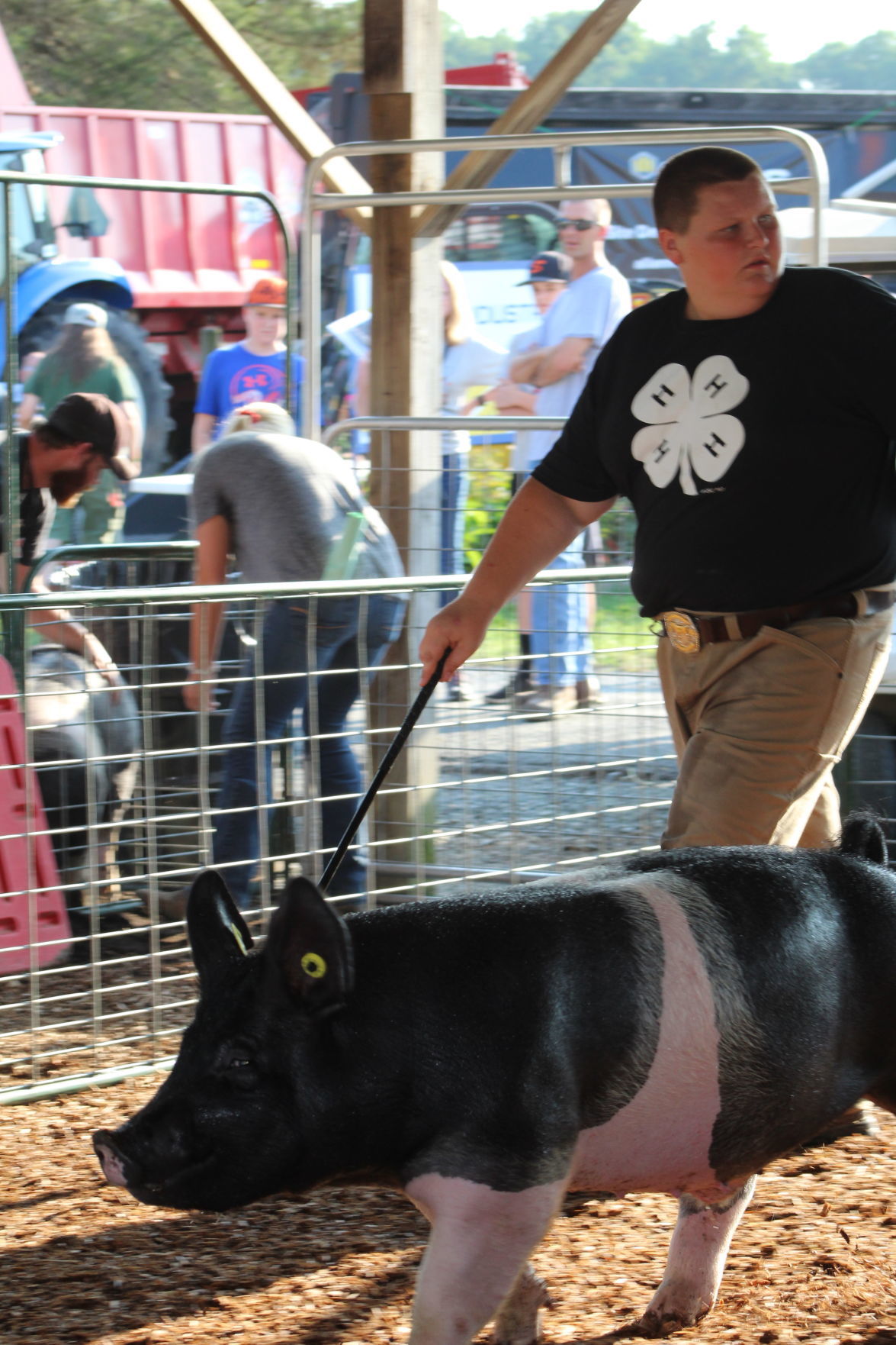 Cecil County Fair Livestock Auction